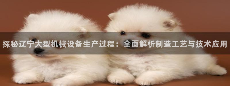 金年会vip网页版在线登录入口下载：探秘辽宁大型机械设备生产过程：全面解析制造工艺与技术应用
