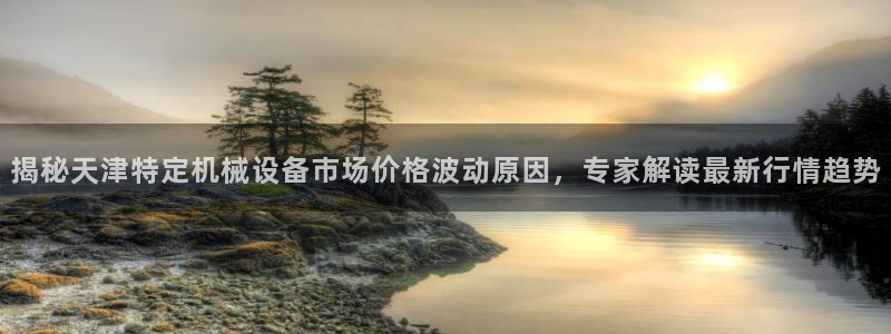 金年会网站怎么样：揭秘天津特定机械设备市场价格波动原因，专家解读最新行情趋势