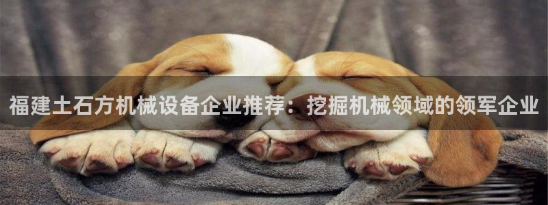 金年会体育是诈骗：福建土石方机械设备企业推荐：挖掘机械领域的领军企业