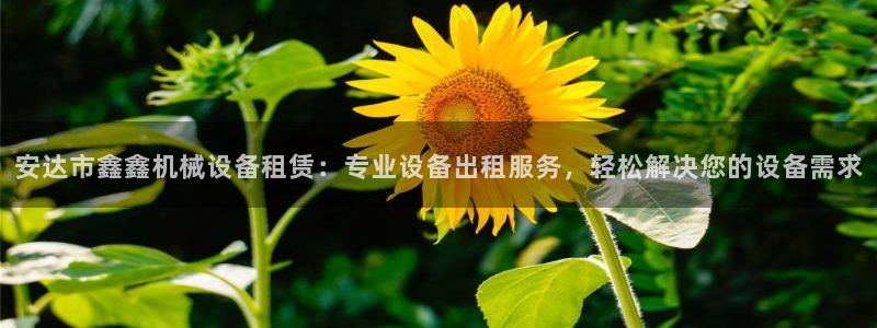 金年会金字招牌信誉至上：安达市鑫鑫机械设备租赁：专业设备出租服务，轻松解决您的设备需求