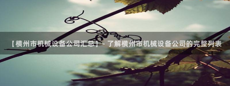 金年会会员登录页面图片：【横州市机械设备公司汇总】- 了解横州市机械设备公司的完整列表