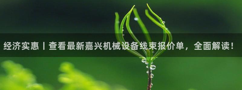 金年会体育出款被要求安全认证怎么办：经济实惠丨查看最新嘉兴机械设备线束报价单，全面解读！