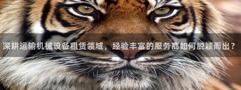 金年会-金字招牌信誉至上：深耕运输机械设备租赁领域，经验丰富的服务商如何脱颖而出？