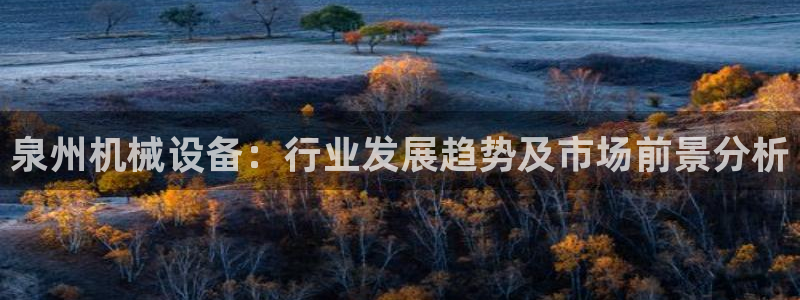 金年会体育综合App：泉州机械设备：行业发展趋势及市场前景分析
