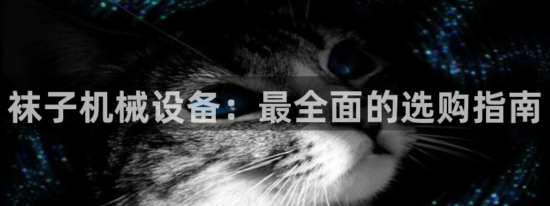 金年会官方：袜子机械设备：最全面的选购指南