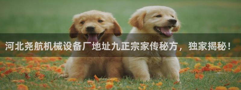 金年会ios版下载官网：河北尧航机械设备厂地址九正宗家传秘方，独家揭秘！