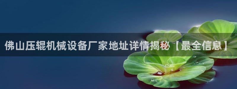 金年会网站登录：佛山压辊机械设备厂家地址详情揭秘【最全信息】