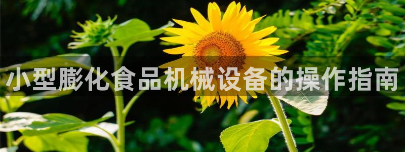 金年会体育app下载官网安卓手机：小型膨化食品机械设备的操作指南