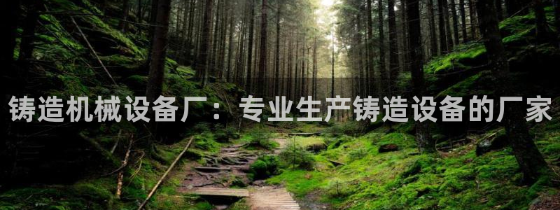 金年会体育app官网86：铸造机械设备厂：专业生产铸造设备的厂家