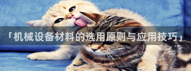 金年会赌博是诈骗吗：「机械设备材料的选用原则与应用技巧」