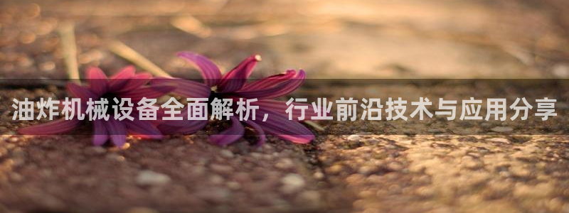 金年会电子游戏怎么玩：油炸机械设备全面解析，行业前沿技术与应用分享