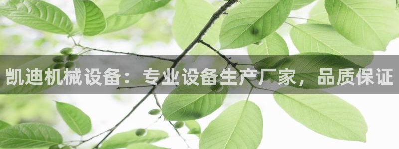 金年会体育全站app：凯迪机械设备：专业设备生产厂家，品质保证