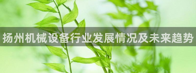 金年会体育黑吗：扬州机械设备行业发展情况及未来趋势