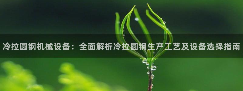 金年会黑平台不给出款：冷拉圆钢机械设备：全面解析冷拉圆钢生产工艺及设备选择指南