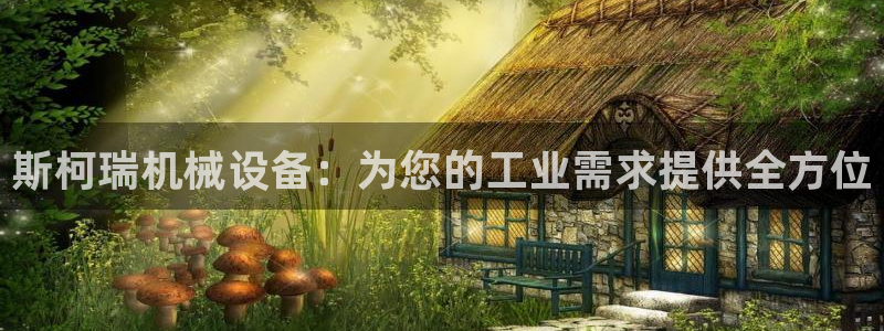金年会体育查处：斯柯瑞机械设备：为您的工业需求提供全方位