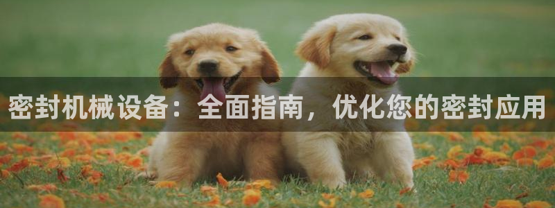 金年会sports：密封机械设备：全面指南，优化您的密封应用