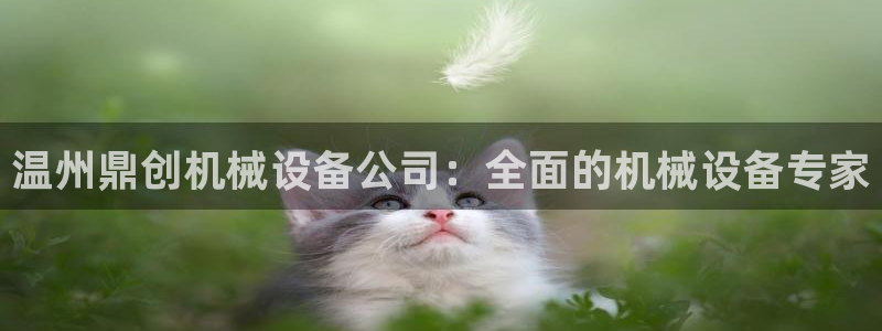 金年会体育注册：温州鼎创机械设备公司：全面的机械设备专家