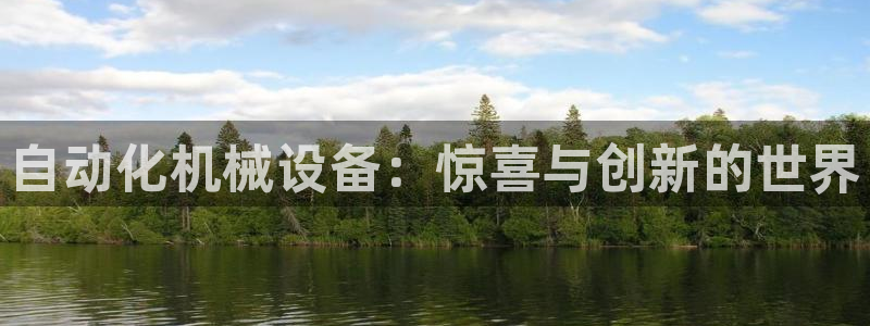 金年会体育APP官方网站：自动化机械设备：惊喜与创新的世界