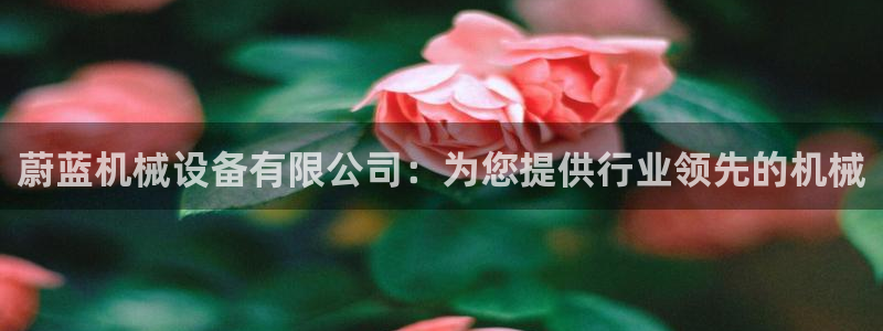 金年会官方在线入口网址是多少号：蔚蓝机械设备有限公司：为您提供行业领先的机械