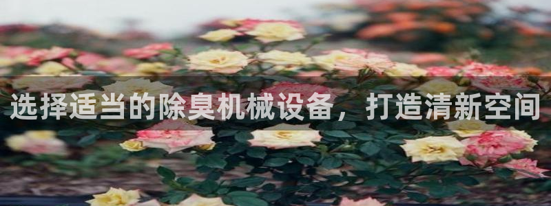 金年会体育app最新官网下载