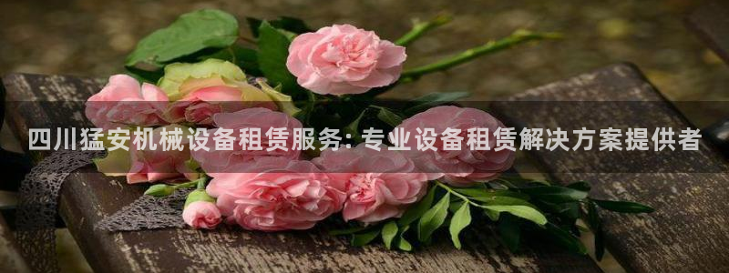 金年会app官方网站下载：四川猛安机械设备租赁服务: 专业设备租赁解决方案提供者