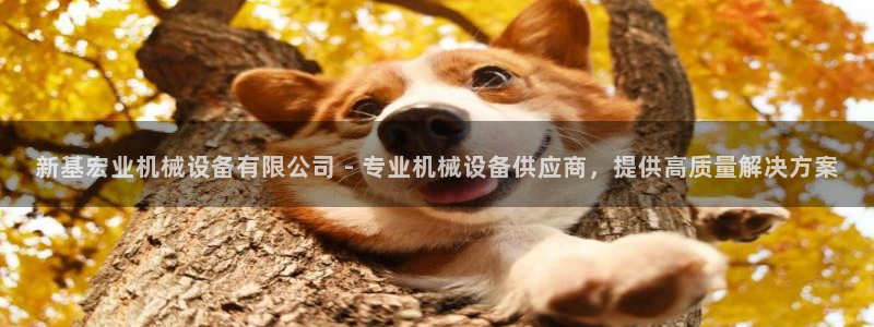 金年会网登录平台入口：新基宏业机械设备有限公司 - 专业机械设备供应商，提供高质量解决方案