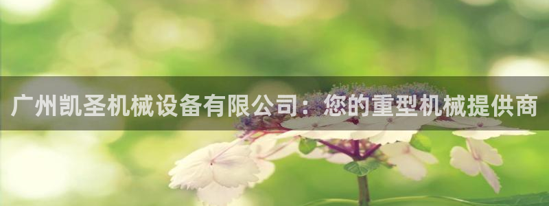 金年会sports：广州凯圣机械设备有限公司：您的重型机械提供商
