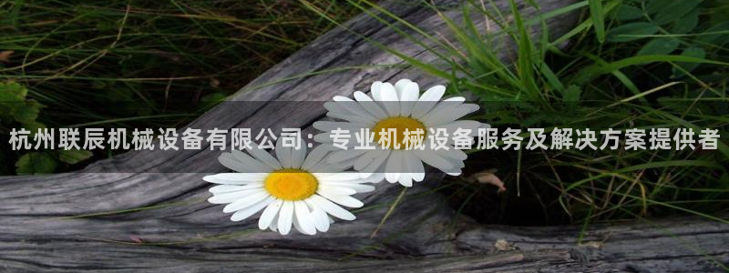 金年会网站稳不稳：杭州联辰机械设备有限公司：专业机械设备服务及解决方案提供者