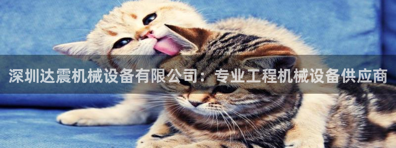 金年会电子：深圳达震机械设备有限公司：专业工程机械设备供应商