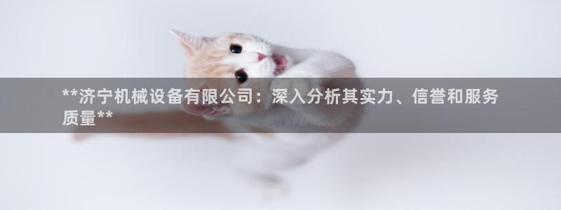 金年会体育平台注册：**济宁机械设备有限公司：深入分析其实力、信誉和服务
质量**