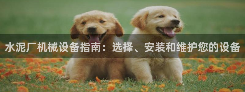 金年会体育全站app：水泥厂机械设备指南：选择、安装和维护您的设备