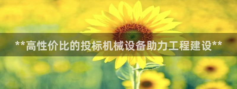 金年会app官方网站入口：**高性价比的投标机械设备助力工程建设**