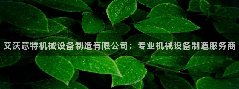 金年会官方app下载安装