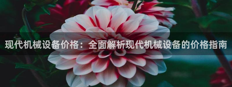 金年会官方app下载安装：现代机械设备价格：全面解析现代机械设备的价格指南