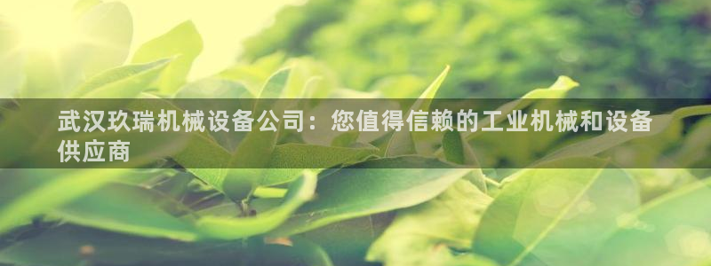 金年会体育平台注册：武汉玖瑞机械设备公司：您值得信赖的工业机械和设备
供应商