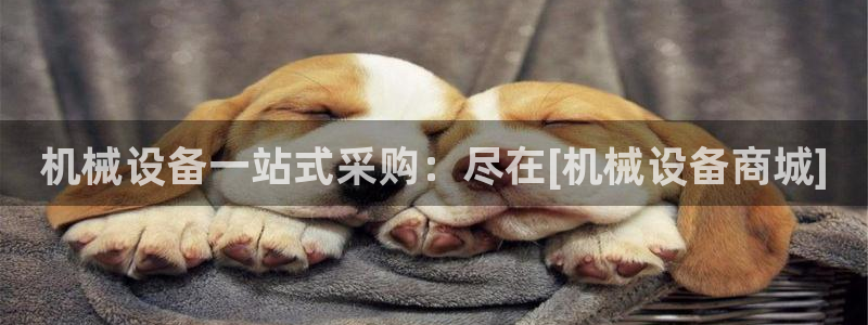 金年会网页版在线登录官网：机械设备一站式采购：尽在[机械设备商城]