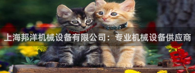 金年会ios版下载官网：上海邦洋机械设备有限公司：专业机械设备供应商