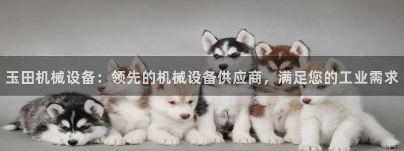 金年会App官方下载：玉田机械设备：领先的机械设备供应商，满足您的工业需求