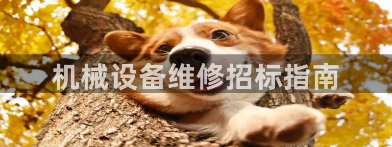 金年会体育下载APP：机械设备维修招标指南