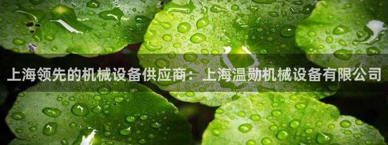 金年会体育app入口在哪：上海领先的机械设备供应商：上海温勋机械设备有限公司