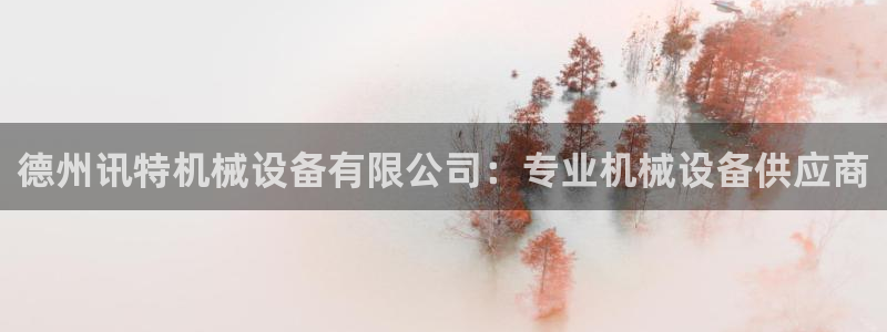金年会app下载官网登录入口：德州讯特机械设备有限公司：专业机械设备供应商