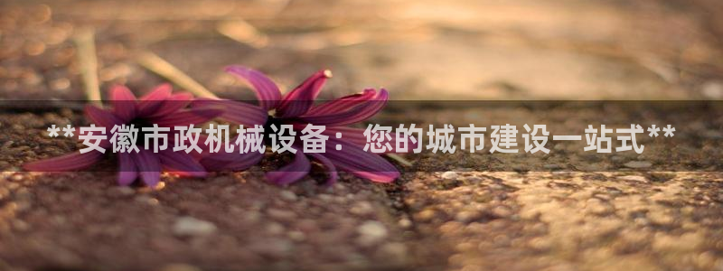 金年会手机版官方网站：**安徽市政机械设备：您的城市建设一站式**