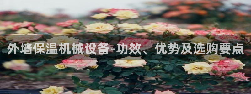 金年会体育app下载